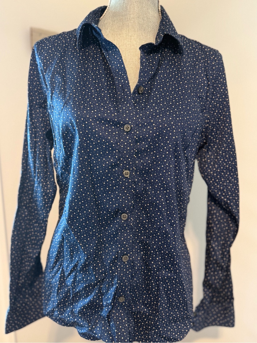 BANANA REPUBLIC Cotton Non Iron Tailored Long Sleeve Button Down Shirt Preppy